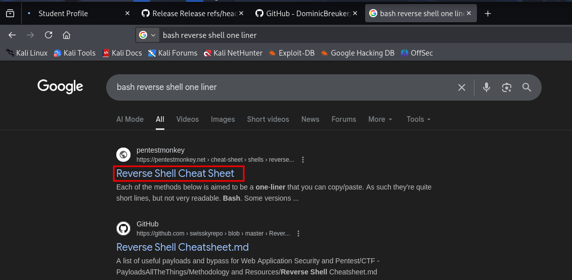 Bash Reverse Shell